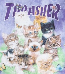 Thrasher Magazine X The Mountain KITTENS Skateboard T Shirt PURPLE TIE DYE