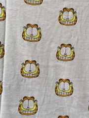 Garfield C-Life Group Short Sleeve Men’s Garfield Print Graphic T-shirt Size L