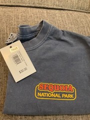 Comfort Colors Men’s Sequoia National Park T-shirt M Sun Beams Denim Graphic Tee