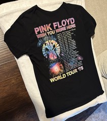 Gorgeous Authentic Pre-owned Men’s Pink Floyd Wish You Were Here ‘75 Tour Shirt