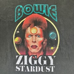 David Bowie Ziggy Stardust Graphic T-Shirt Music 2XL classic glam rock & Roll