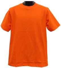 Heavyweight IBS Short Sleeve MENS T Shirt (S-10XL)