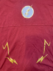 THE FLASH Spirit Jersey Long Sleeve Shirt Warner Brothers Superhero Adult M EUC