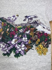 Vintage Ferndale California Nature Shirt XL Gray Double Sided 90s 12372