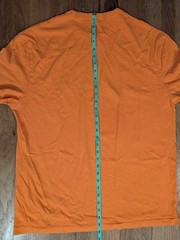 Polo Ralph Lauren Men’s Orange Seagull and Waves T-Shirt Large