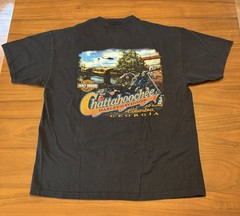 Harley Davidson T-Shirt Eagle Men L/XL Black Chattahoochee Georgia 2007 USA Made