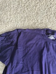 Champion shirt adult extra large 1XL purple short sleeve crewneck casual mens a2