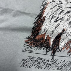 Vintage 1988 The Wild Side Bold Eagle Graphic Tee XL Made In Usa Single Stitch