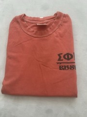 Comfort Colors Men’s T Shirt Sprig Rush Sigma Phi Epsilon 2022 Size M