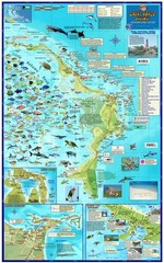 Great Abaco Island Bahamas Adventure & Dive Guide Franko Maps Waterproof Map