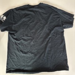 Y2K Daylight Train Beautiful Night Shirt Men’s SZ XL Oregon Rail Heritage Center