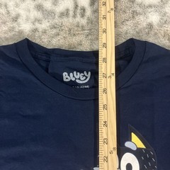 Bluey Whaddup Party People Graphic Shirt Mens Large Bingo Dad Mom Disney 306