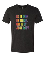 Is it Gay in Here or Is it Just Me LGBTQ Men Premium Tri Blend Tshirt