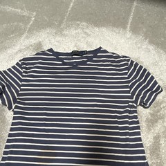 Polo Ralph Lauren Men’s Blue/White Striped Crew Neck T-Shirt, Size S