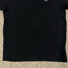 Hollister Tshirt Mens Must Have Collection Short Sleeve Shirt