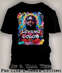 Biggie in Living Color Tee Shirt Grey Stone 8XL Hip Sport Big Tall J6 Why Not