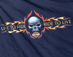 Vintage Harley Davidson 2005 Flames & Skulls Shirt Double Sided Made USA Sz Med