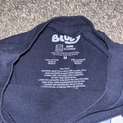 Bluey & Friends Family t-shirt w/ Bluey, Bingo, Chilli & Bandit Med Blue