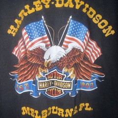 Vintage 1986 Harley Davidson 3D Emblem Eagle Untamed Legend Rare Melbourne Fl