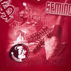 Y2K Delta Magnum Weight Florida State Seminoles Fear The Spear AOP Shirt XL