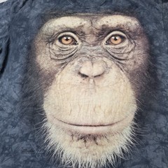 The Mountain Monkey Shirt Mens XL Black Big Chimp Giant Face Primate Tie Dye