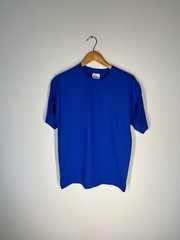 Hanes Heavyweight 50/50 Blank T-Shirt M Royal Blue Y2K Vintage Made in Honduras