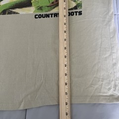 Disney Muppets Kermit the Frog Country Roots Graphic T-Shirt Tan Unisex Adult L