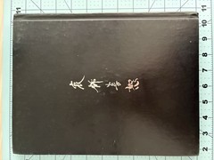 Metal Gear Solid collector lot with Uniqlo 25th Anniversary shirt