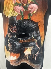 Comics Batman & Robin The Dark Knight Returns T-Shirt Size XS Frank Miller Art
