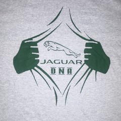 Gildan Heavy Cotton Men’s L Gray Jaguar DNA Graphic Logo Tee