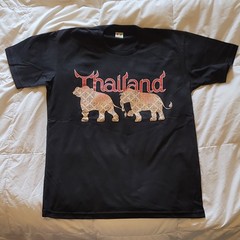 Colour Takingness Elephant Graphic Print Black Cotton Men’s T-Shirt Size I