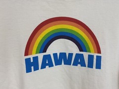 VTG 70s Crazy Shirts Hawaii Rainbow Souvenir Surf Beach T-Shirt Size L