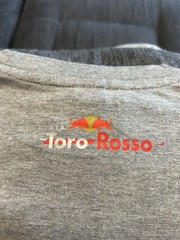 Red Bull Scuderia Toro Rosso Grey Alguersuari T-Shirt L F1 Formula One NEW