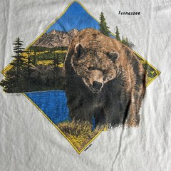 VTG Grizzly Bear T Shirt Fits Medium Tennessee Vacation Tee High Neck 1980s USA