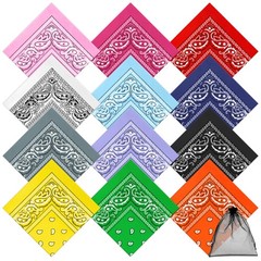 12 Pack Novelty Bandanas Paisley Print Cowboy Bandana Handkerchiefs, Assorted…
