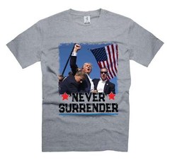 Never Surrender USA Flag Shirt Donald Trump PA Rally Shirt DJT Support Shirt