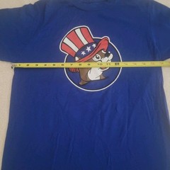 Buc-ees SM. Can’t Hear You Freedom Ringing Patriotic 4th July T-Shirt 250yr