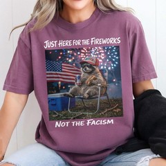 Anti Fascist Patriotic Raccoon Fireworks Shirt Funny 4th of July