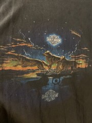 Rare Harley Davidson Mens Sz XL FAIRBANKS ALASKA OUTPOST Wolf DOUBLE SIDED