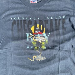 Vtg Hanes Heavyweight 50/50 Single Stitch Solomons Island Tourist T-Shirt 90’s L