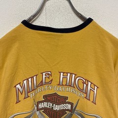 【HARLEY-DAVIDSON】00s Ringer T-shirt 両面ロゴ 星条旗 リンガーTシャツ S-5950