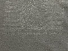 Vintage Joy Division Shirt 80s Wild Oats Unknown Pleasures RARE Distressed READ