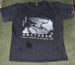 Vintage I Have Climbed Up The Great Wall China Tshirt Mens L/XL Long Mai Yuan