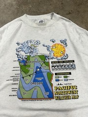 Vintage 90s Eagle Pacific Northwest Weather Map Funny Cartoon Cloud Sun T-Shirt