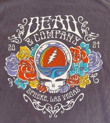 DEAD & COMPANY 2024 Shirt – The Sphere Las Vegas “Purple” SIZE LARGE