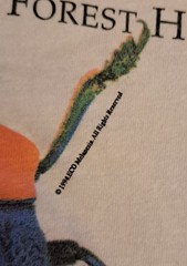 Vtg 90s Rainforest T Shirt M Jewel Beetle Single Stitch Unisex Double Sided