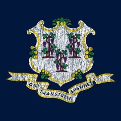 Connecticut State Flag – Hometown Pride Souvenir Basic Cotton T-Shirt – Navy