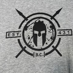 CRAFT Mens T Shirt 2XL Gray Spartan Race Graphic Print Logo