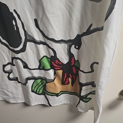 Flirts Peanuts Snoopy Woodstock Graphic Tee One Size White with included socks