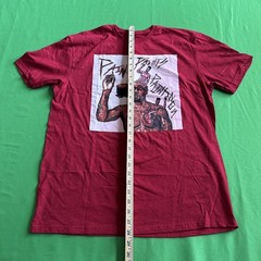Gildan Soft Style Ringspun Red T-Shirt Kiwi Size Large Pain Paints Paintings